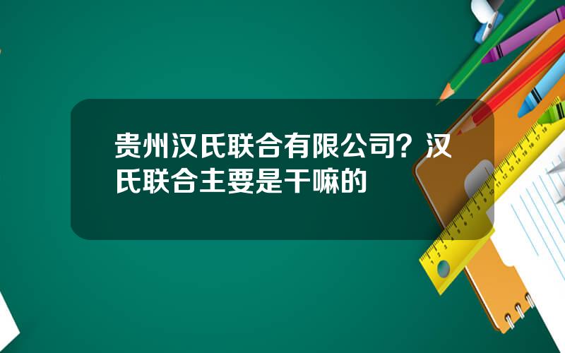 贵州汉氏联合有限公司？汉氏联合主要是干嘛的