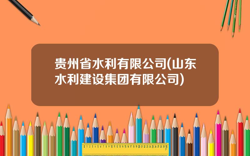 贵州省水利有限公司(山东水利建设集团有限公司)